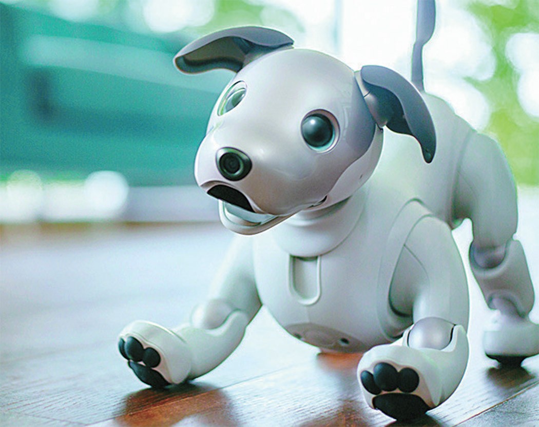 글로벌 리포트] 팬지어(Pangaea) 시대, 상식과 논리가 안 통하는 한국 < 사회 < 기사본문 - 월간중앙