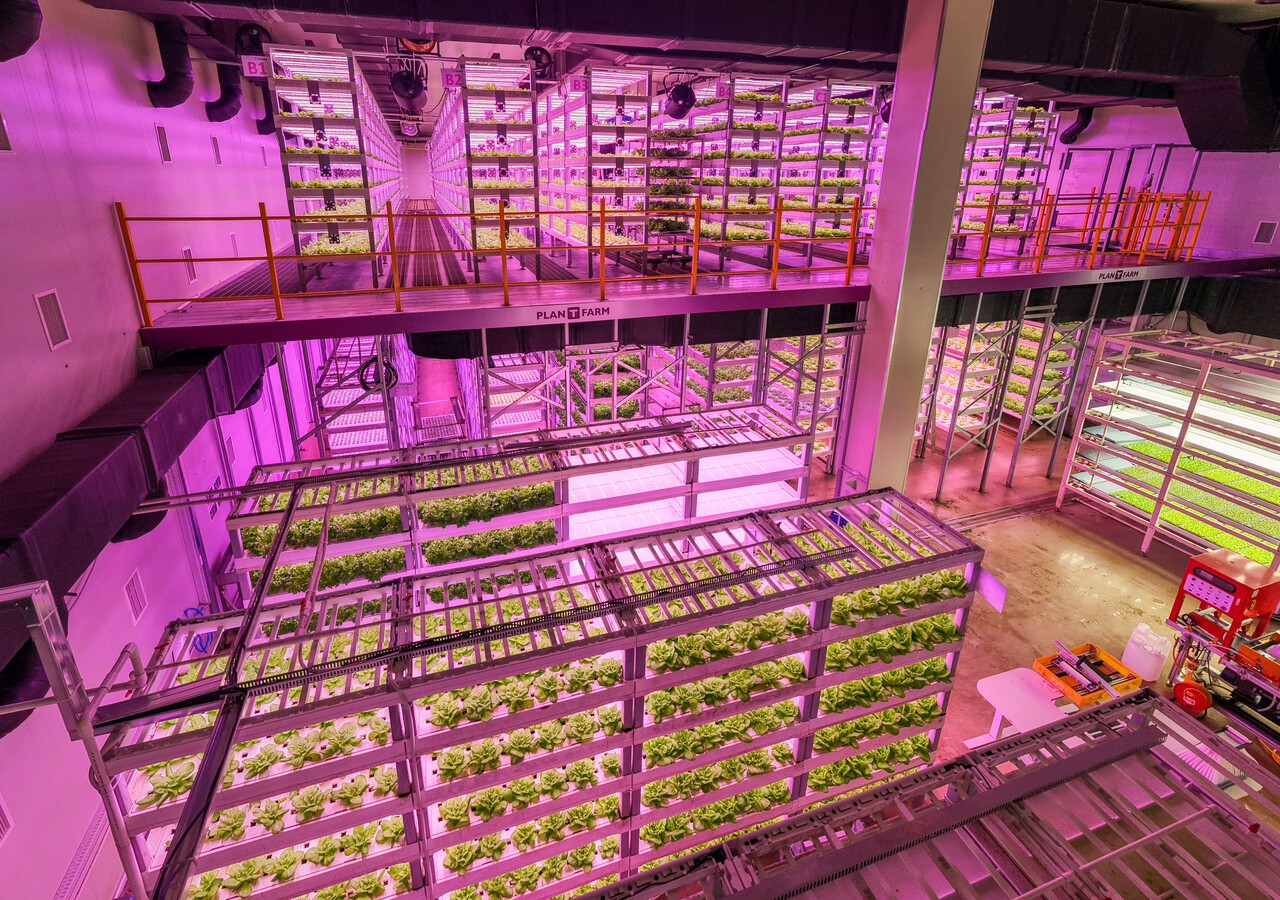 첨단 기술로 무장한 스마트 파머들의 '신(新) 농부전' - 뉴스 썸네일 이미지